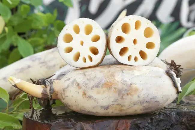 湖北休閑食品哪家好